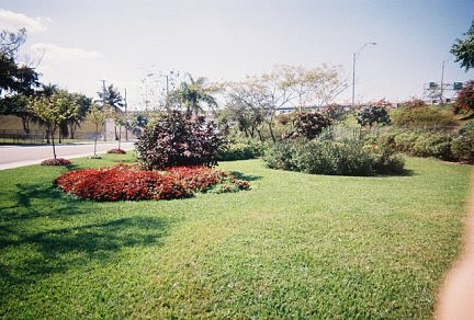 slides\revpan1.jpg